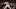(Photo by Christian Petersen/Getty Images) – Los Angeles Dodgers (Photo by Christian Petersen/Getty Images) – Los Angeles Dodgers