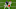 Philadelphia Eagles Philadelphia Eagles
