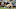 dallas cowboys dallas cowboys