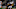 PITTSBURGH, PA – DECEMBER 25: Joe Flacco PITTSBURGH, PA – DECEMBER 25: Joe Flacco