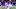 New York Giants New York Giants
