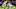 Green Bay Packers Green Bay Packers