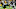 Green Bay Packers Green Bay Packers