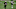 2021 NFL Draft, New Orleans Saints 2021 NFL Draft, New Orleans Saints