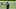 New England Patriots New England Patriots
