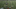 GIF via Zombie Prophet (@ZProphet_MMA) GIF via Zombie Prophet (@ZProphet_MMA)