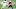 New England Patriots Ryan Izzo. (Photo by Adam Glanzman/Getty Images) New England Patriots Ryan Izzo. (Photo by Adam Glanzman/Getty Images)