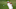 Adam Scott doing what he does best…playing to a green. (Photo by Matt King/Getty Images) Adam Scott doing what he does best…playing to a green. (Photo by Matt King/Getty Images)