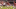 Arkansas football Arkansas football