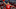 LOUISVILLE, KENTUCKY – MARCH 01: Lamarr Kimble #0 of the Louisville Cardinals (Photo by Andy Lyons/Getty Images) LOUISVILLE, KENTUCKY – MARCH 01: Lamarr Kimble #0 of the Louisville Cardinals (Photo by Andy Lyons/Getty Images)