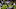 (Photo by Jon Durr/Getty Images) Jerick McKinnon (Photo by Jon Durr/Getty Images) Jerick McKinnon