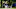DraftKings RBC Heritage DraftKings RBC Heritage