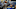 Jacque Vaughn, Orlando Magic Jacque Vaughn, Orlando Magic