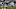 Chicago Bears, DeAndre Washington Chicago Bears, DeAndre Washington