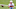 New England Patriots New England Patriots