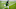 EAST LANSING, MI – APRIL 24: Jayden Reed #1 of the Michigan State Spartans runs in action during the Spring Game at Spartan Stadium on April 24, 2021 in East Lansing, Michigan. (Photo by Nic Antaya/Getty Images) EAST LANSING, MI – APRIL 24: Jayden Reed #1 of the Michigan State Spartans runs in action during the Spring Game at Spartan Stadium on April 24, 2021 in East Lansing, Michigan. (Photo by Nic Antaya/Getty Images)