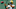 Green Bay Packers Green Bay Packers