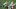 2023 NFL Mock Draft 2023 NFL Mock Draft