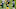 Green Bay Packers Green Bay Packers