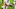2021 NFL Draft, Pete Werner 2021 NFL Draft, Pete Werner