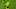 Dortmund’s Norwegian forward Erling Braut Haaland Dortmund’s Norwegian forward Erling Braut Haaland