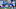 Chicago Red Stars Chicago Red Stars