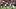 Seattle Seahawks