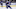 Toronto Marlies Toronto Marlies