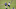 Buffalo Bills Buffalo Bills