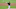 Toronto Blue Jays