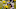 Chicago Bears, Jamaal Williams Chicago Bears, Jamaal Williams