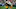 Sterling Sharpe Sterling Sharpe