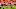 CLEMSON, SC – SEPTEMBER 2: Wide receiver Will Swinney holds the ball for kicker Greg Huegel CLEMSON, SC – SEPTEMBER 2: Wide receiver Will Swinney holds the ball for kicker Greg Huegel