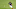 MLB MLB
