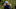 PGA Tour, 2021-22 PGA Tour Season, Golf, Rankings, Rory McIlroy PGA Tour, 2021-22 PGA Tour Season, Golf, Rankings, Rory McIlroy