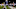 2020 NFL Draft James Proche (Photo by Ronald Martinez/Getty Images) 2020 NFL Draft James Proche (Photo by Ronald Martinez/Getty Images)
