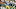 Los Angeles Chargers, Johnny Unitas Los Angeles Chargers, Johnny Unitas