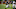 Chicago Bears Jordan Howard Chicago Bears Jordan Howard