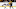 NHL NHL
