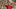 Liverpool vs Manchester United news Liverpool vs Manchester United news