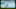 FIFA 16 Predicts Newcastle vs West Brom Game Three FIFA 16 Predicts Newcastle vs West Brom Game Three