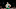 Boston Celtics (Photo by Maddie Meyer/Getty Images)
