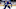 Toronto Maple Leafs