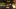 FANCHEST FANCHEST
