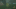 breath of the wild breath of the wild