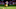 NFL preseason NFL preseason