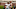 College football rankings College football rankings