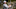 Patrick Cantlay. Orlando Ramirez-USA TODAY Sports Patrick Cantlay. Orlando Ramirez-USA TODAY Sports