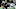 Saints, Taysom Hill Saints, Taysom Hill