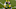 GREEN BAY, WISCONSIN – AUGUST 20: John Lovett #45 and Oren Burks #42 of the Green Bay Packers participate in a drill during Green Bay Packers Training Camp at Lambeau Field on August 20, 2020 in Green Bay, Wisconsin. (Photo by Dylan Buell/Getty Images) GREEN BAY, WISCONSIN – AUGUST 20: John Lovett #45 and Oren Burks #42 of the Green Bay Packers participate in a drill during Green Bay Packers Training Camp at Lambeau Field on August 20, 2020 in Green Bay, Wisconsin. (Photo by Dylan Buell/Getty Images)